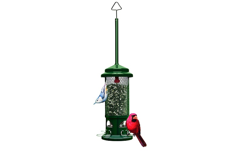 Top 4 Best Squirrel Proof Bird Feeders For Sale In 2017 Animallama