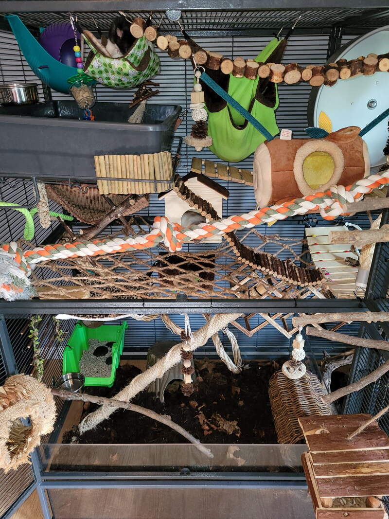 Rat Cage right side