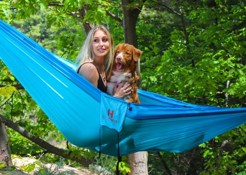 Entertaining your dog: Unwind with your pup