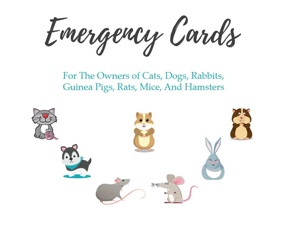 free-pdf-my-pet-is-home-alone-card-for-cat-dog-small-pet-owners