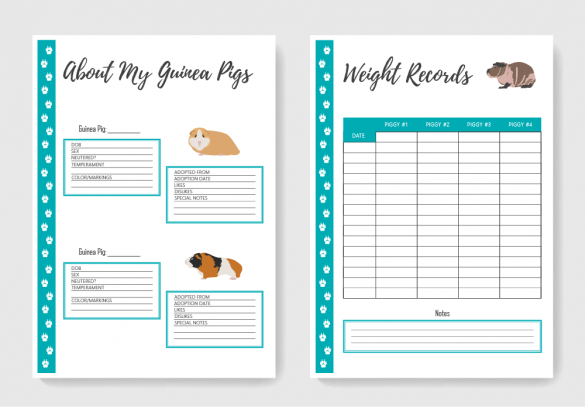 Guinea Pig Care Planner: A Printable Pet Planner to Help You Take Care ...
