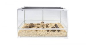 Best Hamster Cages That Meet Ethical Cage Requirements