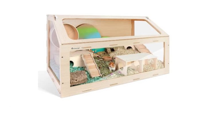 Hamster Cage Calculator: Find Out if a Cage is Large Enough