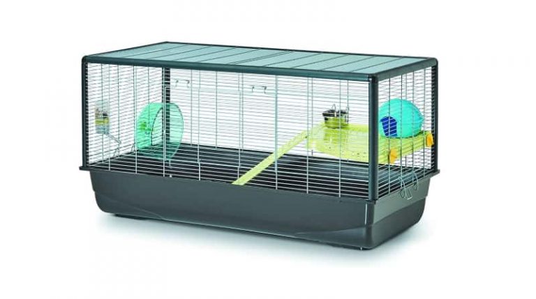 Image showcasing Best Hamster Cages That Meet Ethical Cage Requirements