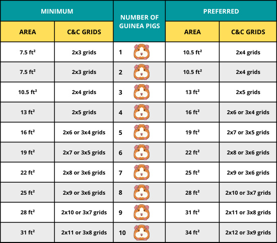 Guinea pig cage size chart (square feet)