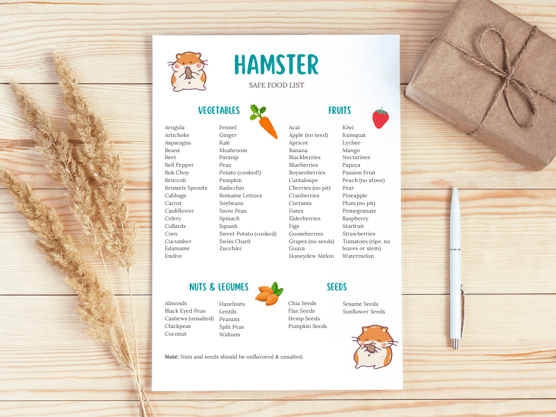 Hamster Food List - Safe and Unsafe Food