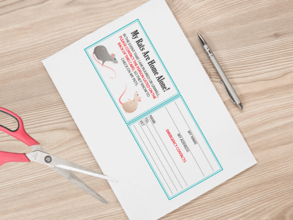 Library of Free Printables for Small Pet Owners | Animallama