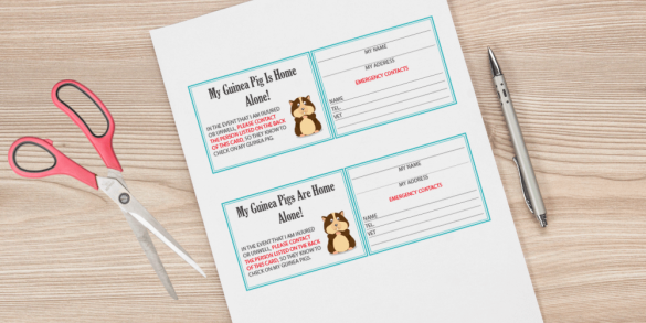 [FREE] My Pet Is Home Alone Emergency Card | Cats, Dogs &amp; Other Pets