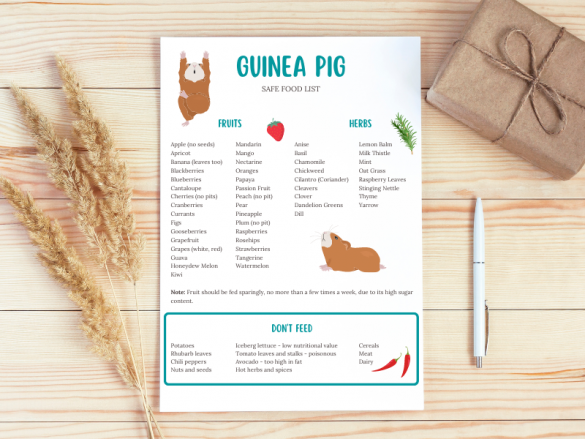Library of Free Printables for Small Pet Owners | Animallama
