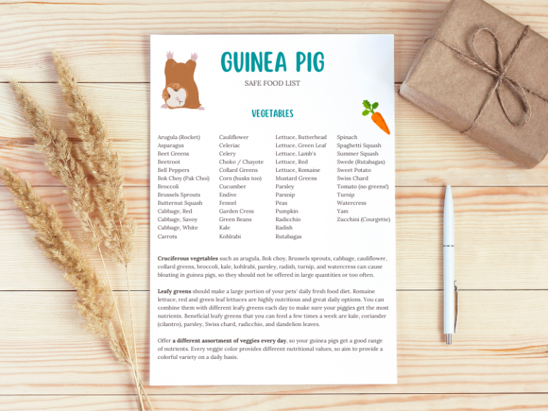 Library of Free Printables for Small Pet Owners | Animallama