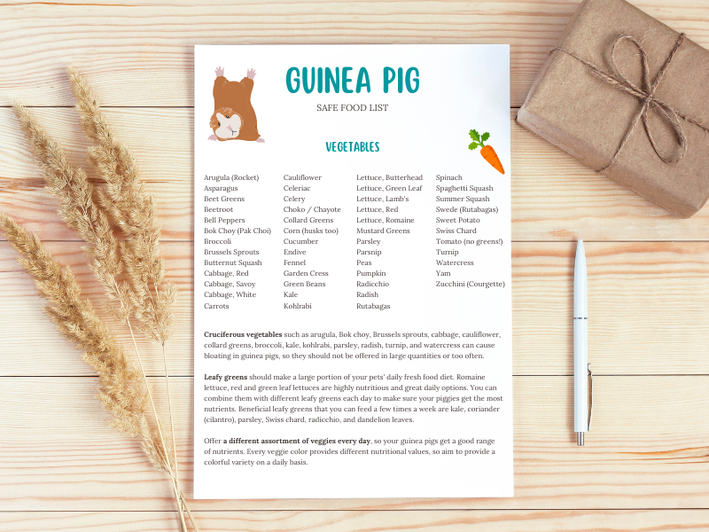 Guinea Pig Vegetables List