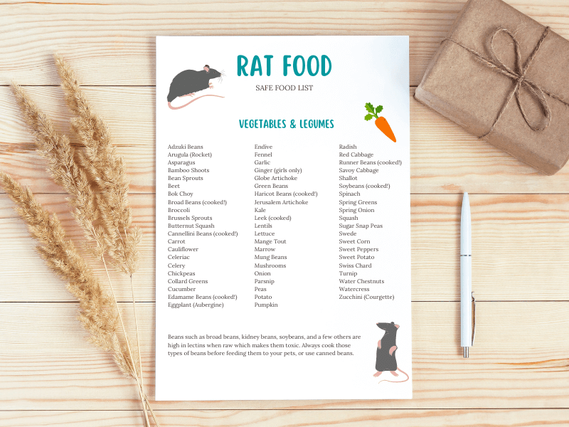 Safe food sales for pet rats