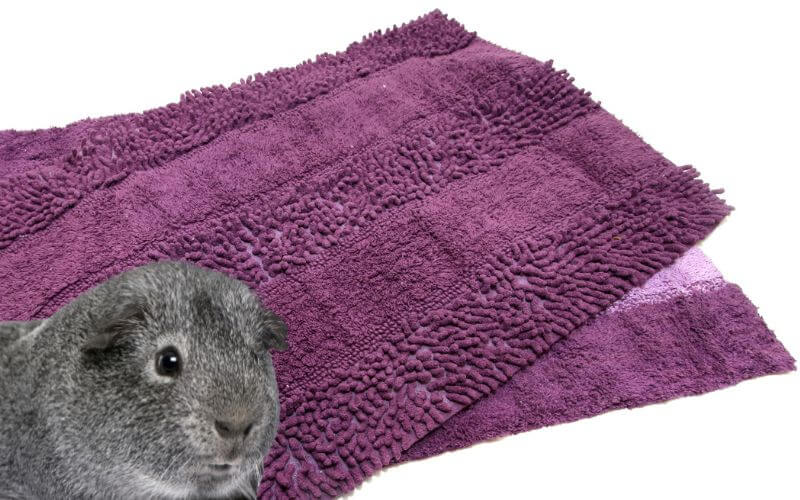 Noodle Mats for guinea pigs