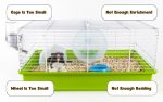 Hamster Cage Setup: Make an Enriching Home for Your Pet
