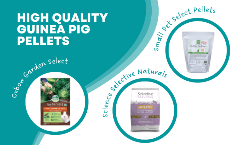 Image showcasing What's the Best Guinea Pig Food? 3 Highest Quality Pellet & Hay Brands ...
