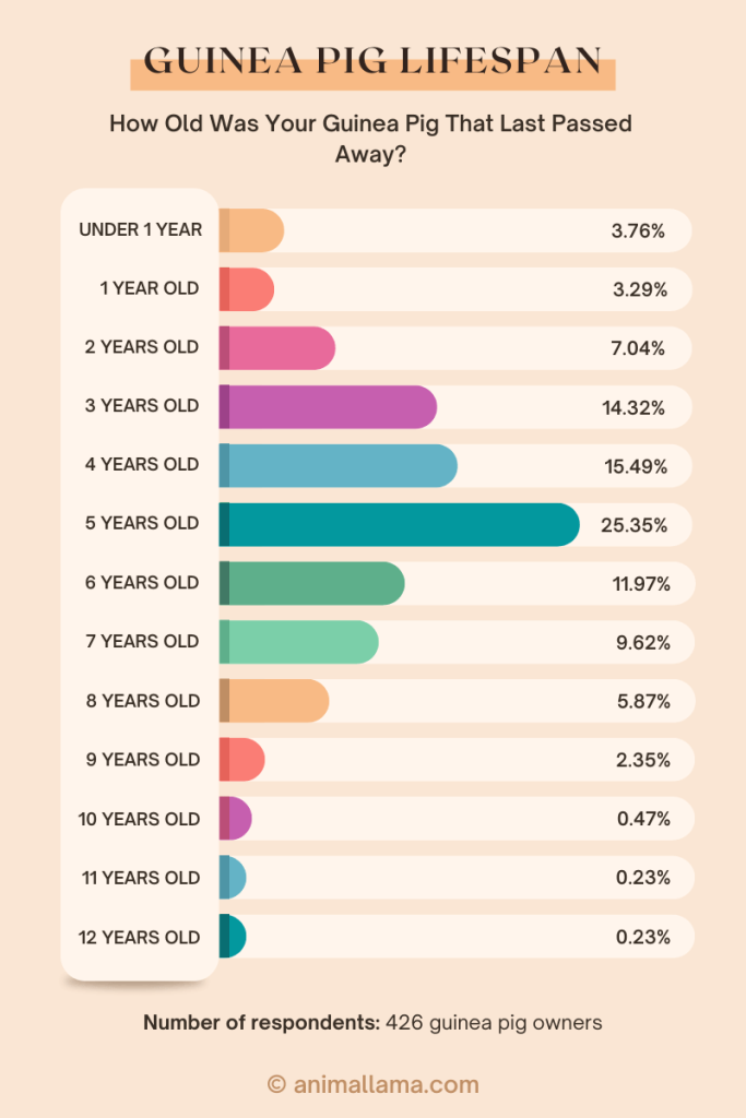 Pet Mice Lifespan & Mice Age to Human Age Chart, Animallama in 2023