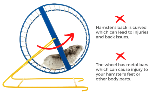 Illustration of Weight Data Mining Hamster Wheel Size Findings