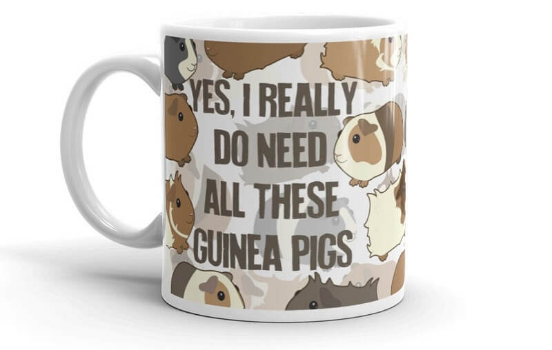 Guinea pig coffee mug gift