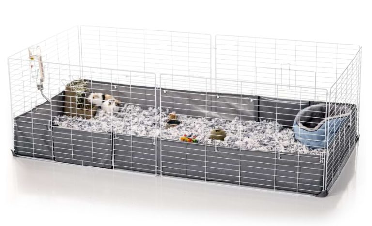 Curated visual reference: Best Guinea Pig Cages That Meet The Ethical Requirements Photo Inspiration