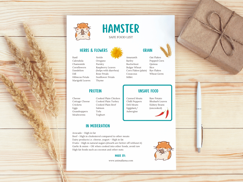 Hamster food list safe unsafe printable