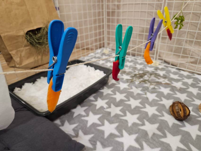 Vegetables hanging on clothesline rabbit toys
