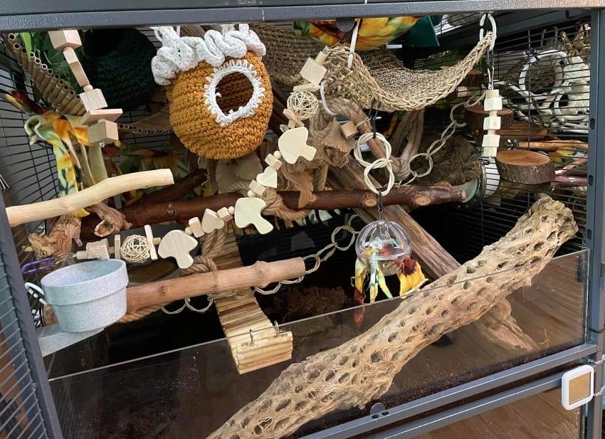Cleaning best sale rat cage